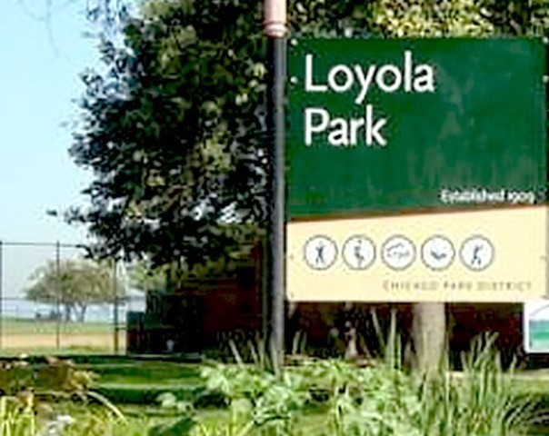 7020 N Paulina Street #1, Chicago, IL 60626