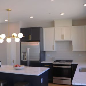 310 Lincoln Street #310, Mount Prospect, IL 60056