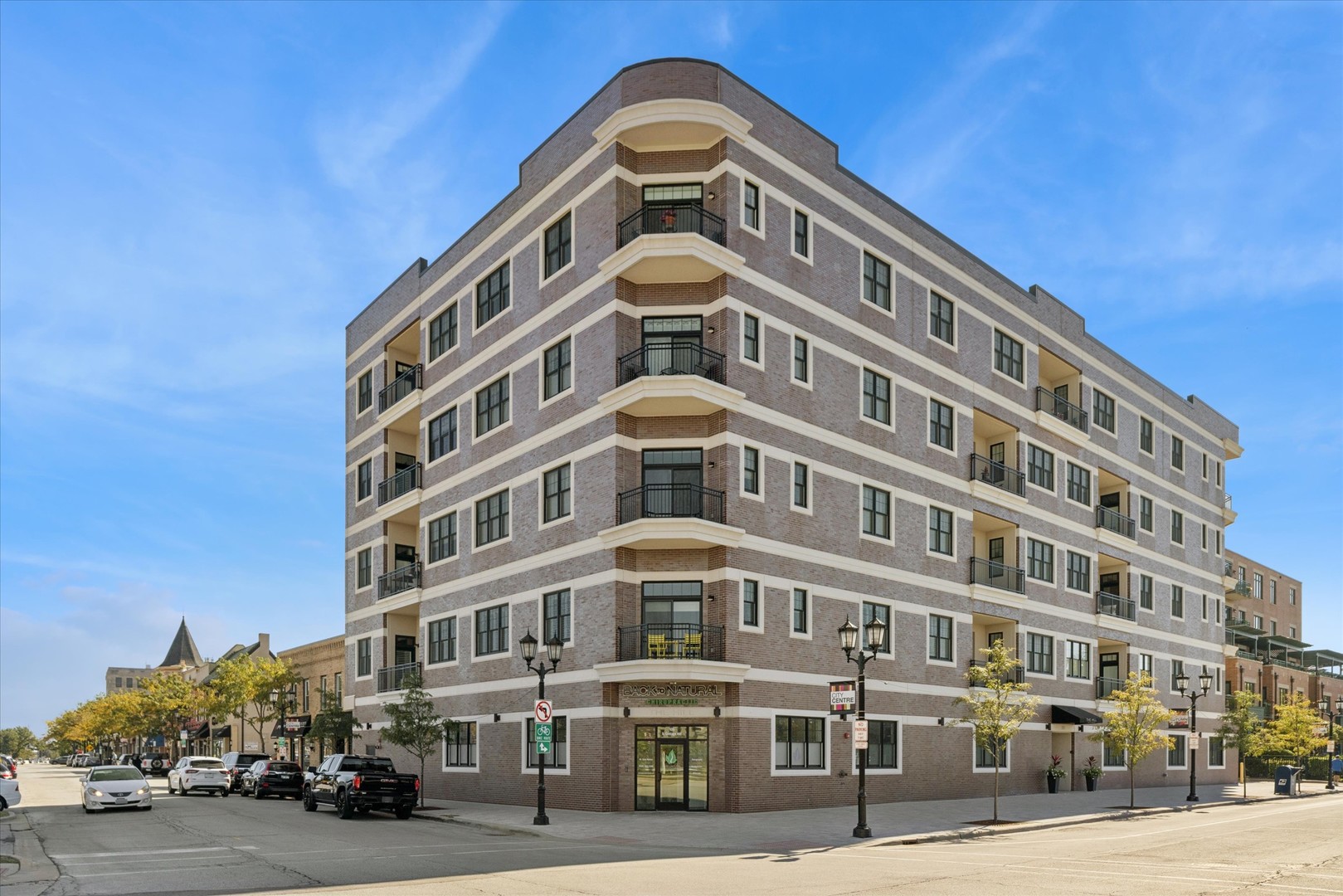 105 S Cottage Hill Avenue #304, Elmhurst, IL 60126