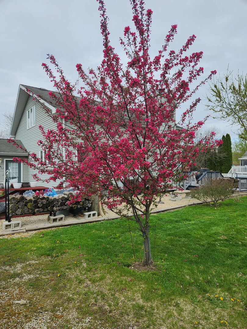 109 Largemouth Lane, Wilmington, IL 60481