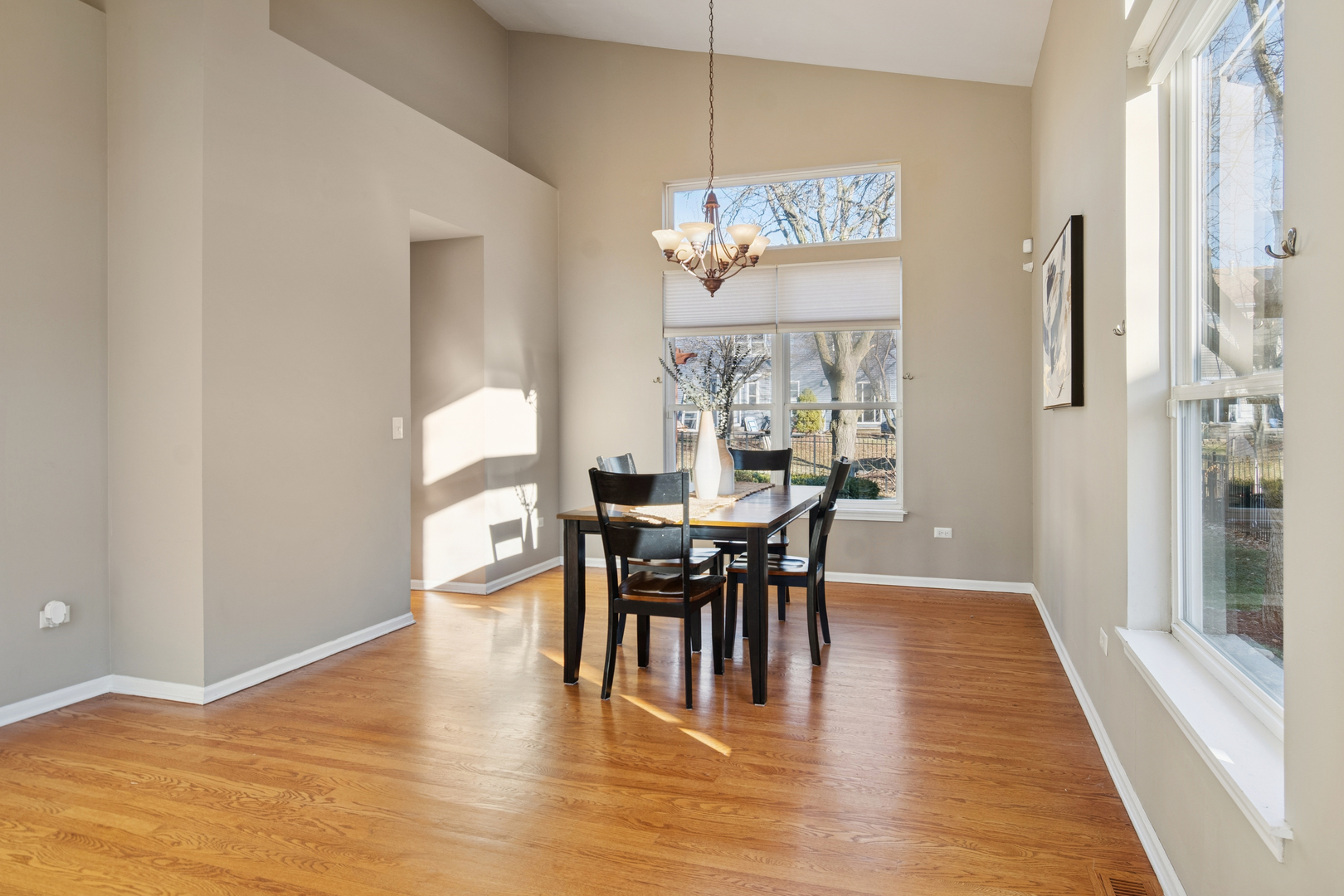 206 Sparrow Lane, Bolingbrook, IL 60490