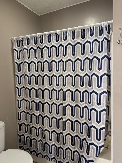 104 W Lincoln Street, Flanagan, IL 61740