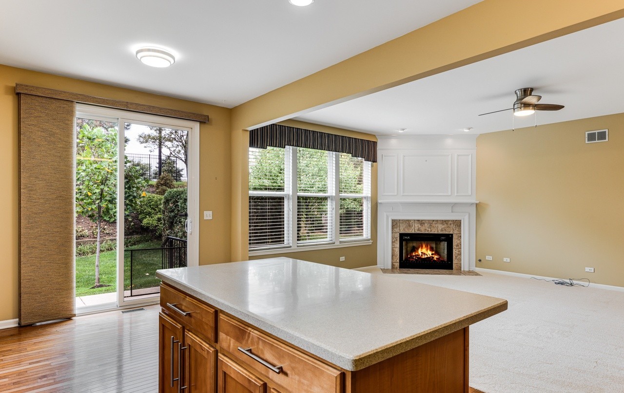 13330 Strandhill Drive, Orland Park, IL 60462