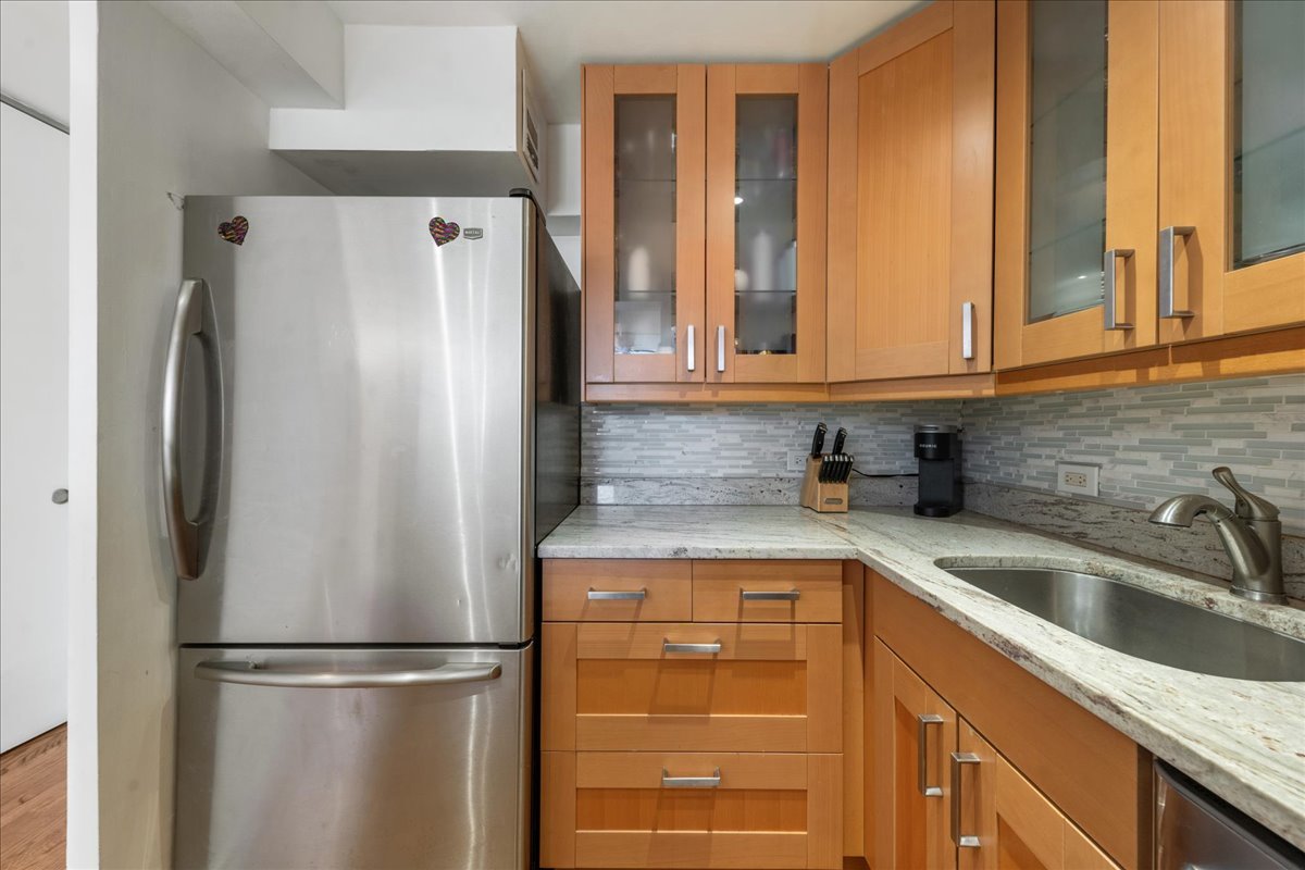 1355 N Sandburg Terrace #203D, Chicago, IL 60610