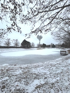 43 Augusta Drive, Streamwood, IL 60107