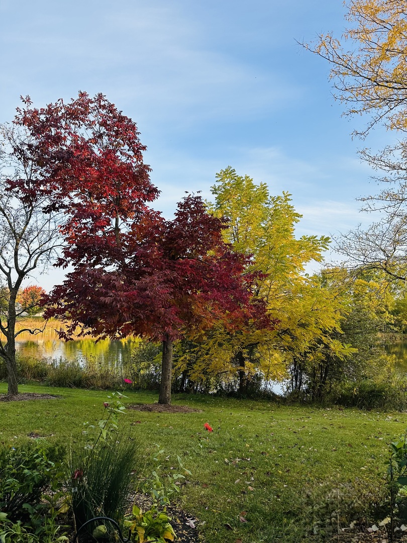 2350 County Farm Lane, Schaumburg, IL 60194