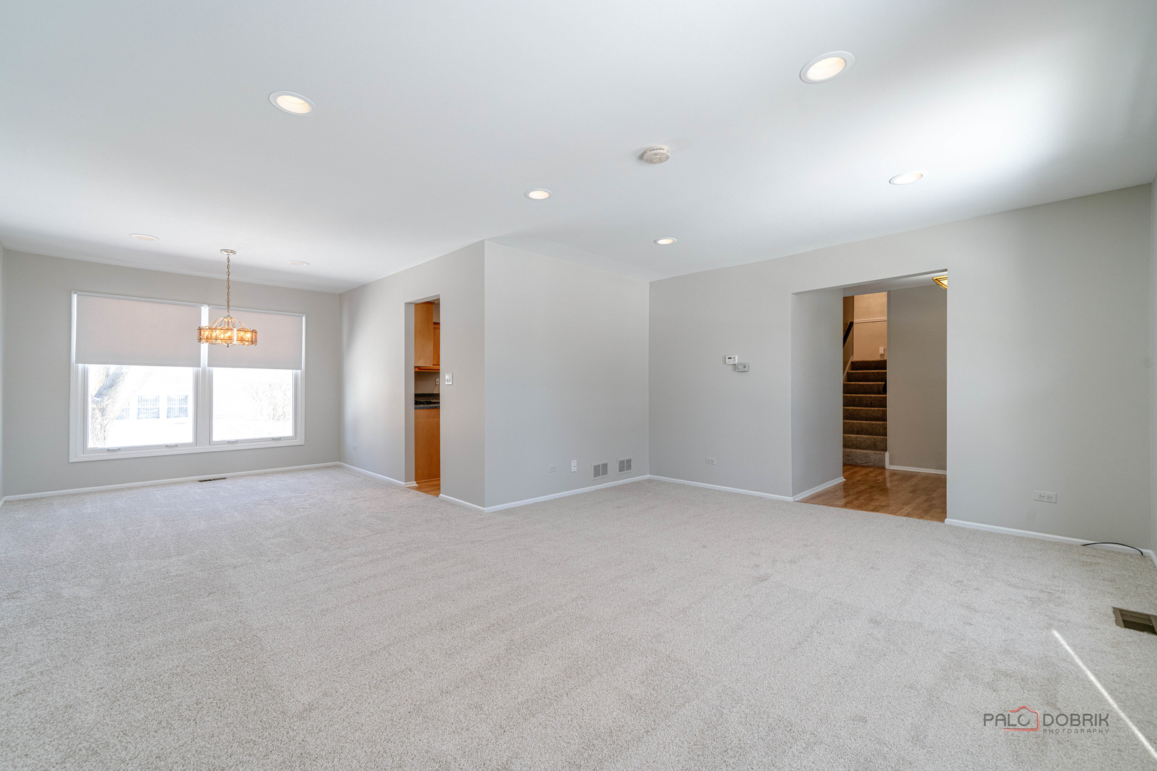 1380 Larchmont Drive, Buffalo Grove, IL 60089