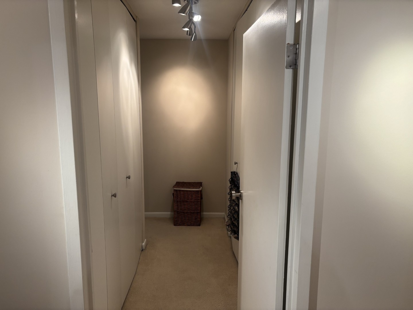 50 E Bellevue Place #1504, Chicago, IL 60611