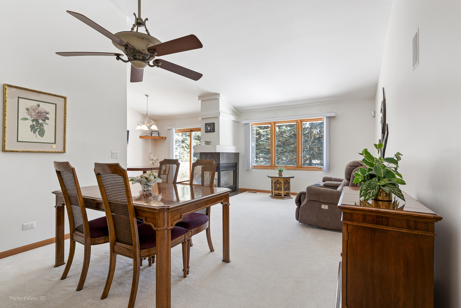 815 Bruce Robert Lane, Hampshire, IL 60140