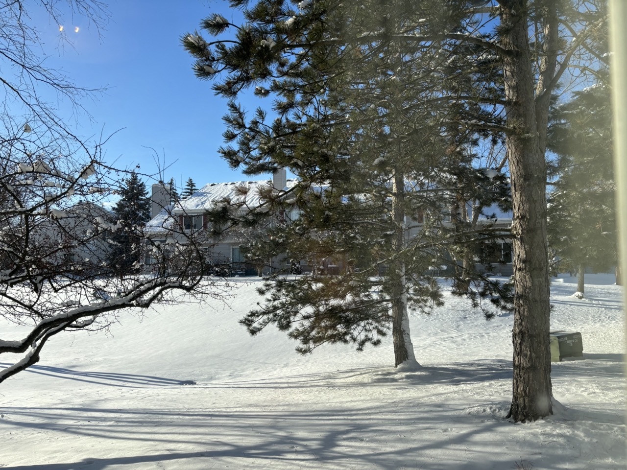 2711 Odlum Drive, Schaumburg, IL 60194