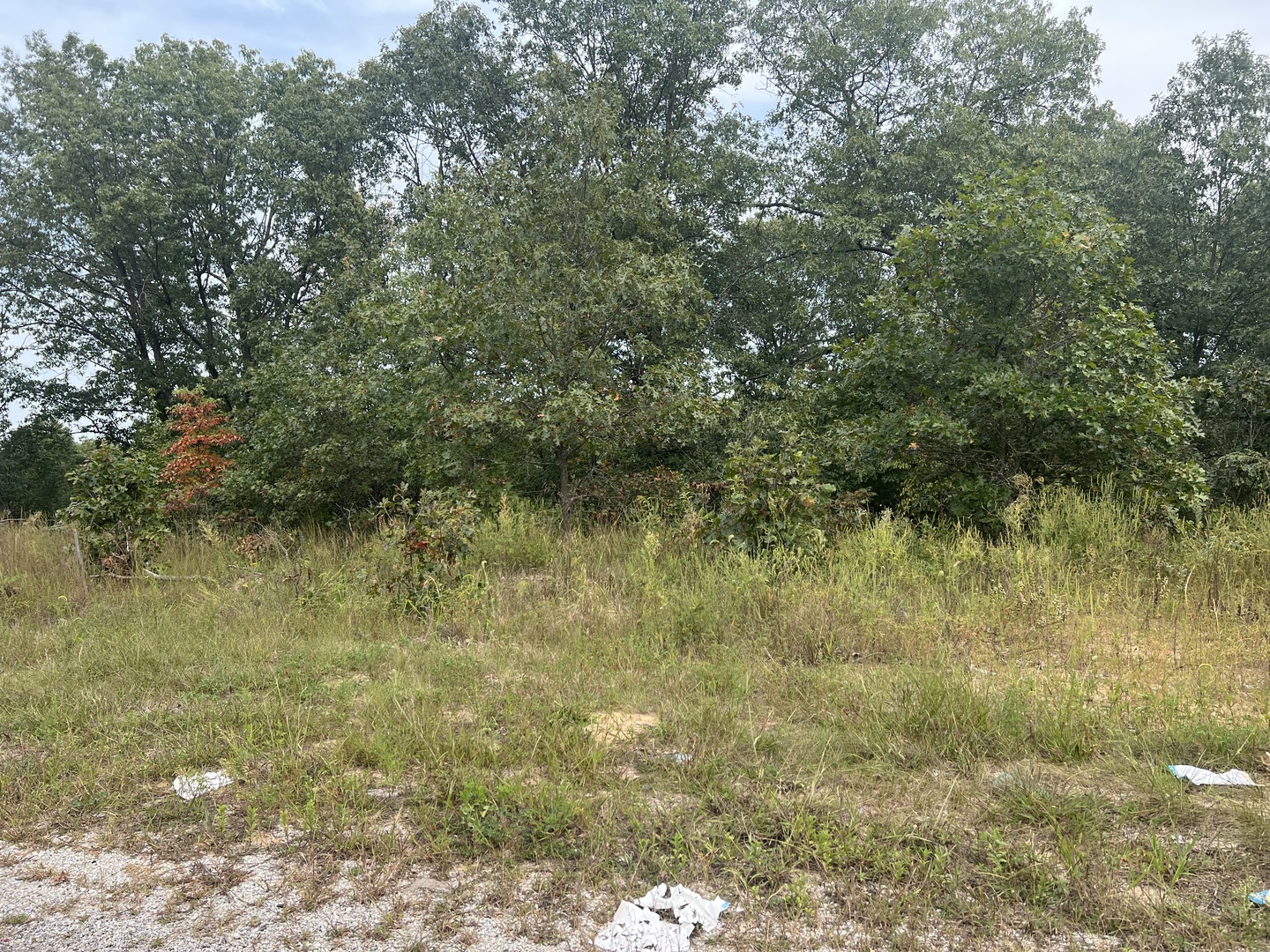 0001 Green Acres Street, Pembroke Twp, IL 60958