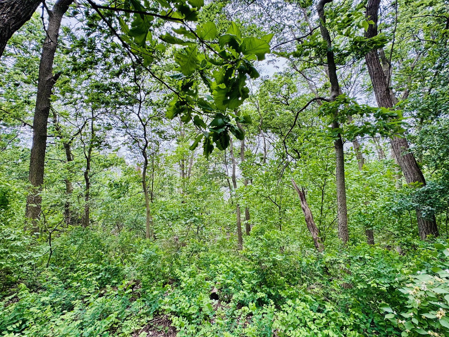 26628 S Kimberly Lane, Channahon, IL 60410