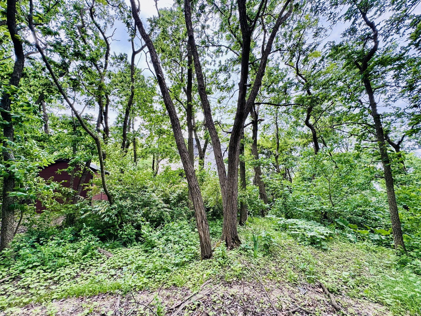 26628 S Kimberly Lane, Channahon, IL 60410