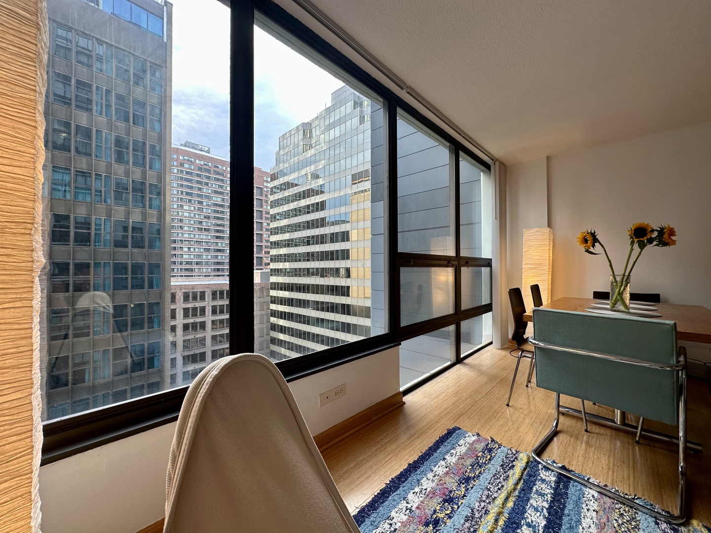 230 E Ontario Street #1206, Chicago, IL 60611