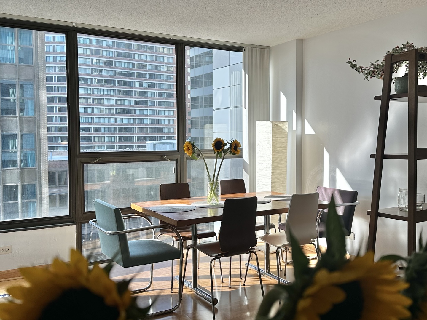 230 E Ontario Street #1206, Chicago, IL 60611