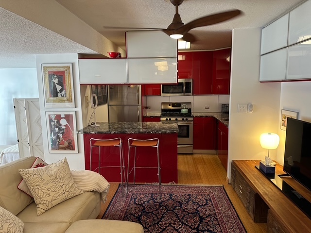 230 E Ontario Street #1206, Chicago, IL 60611