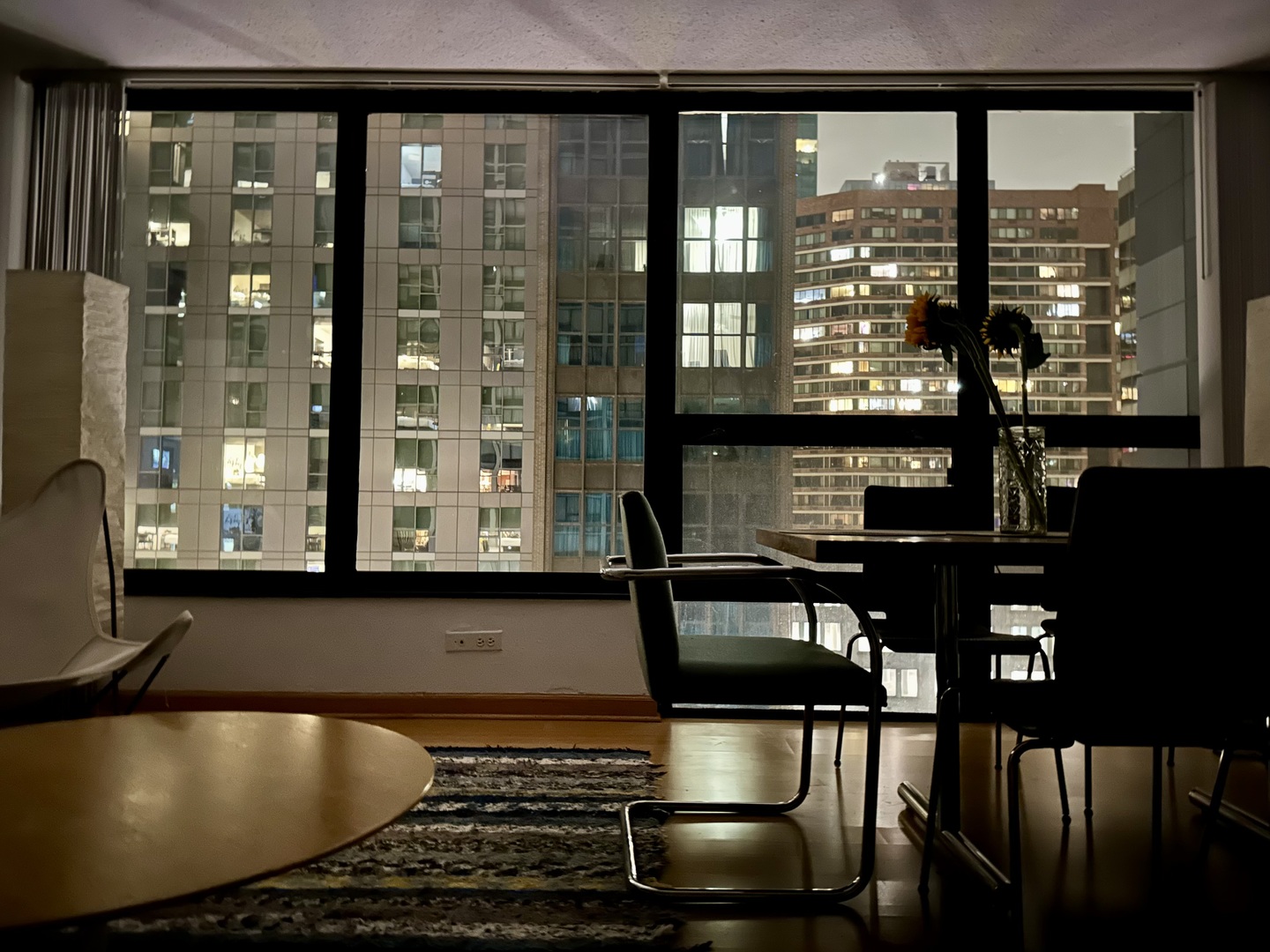 230 E Ontario Street #1206, Chicago, IL 60611