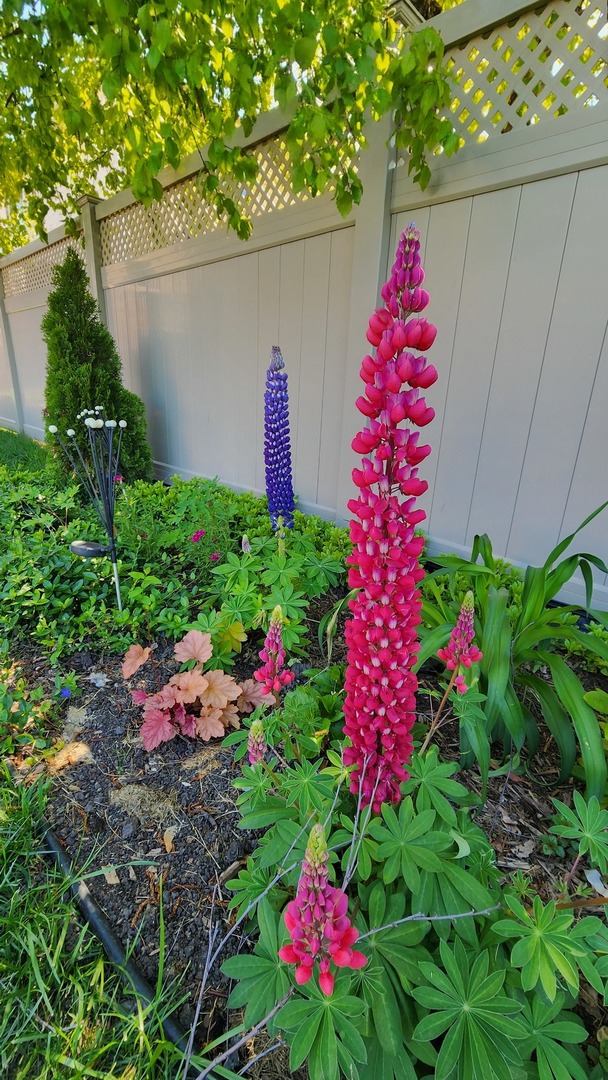 1770 W Windmill Court, Addison, IL 60101