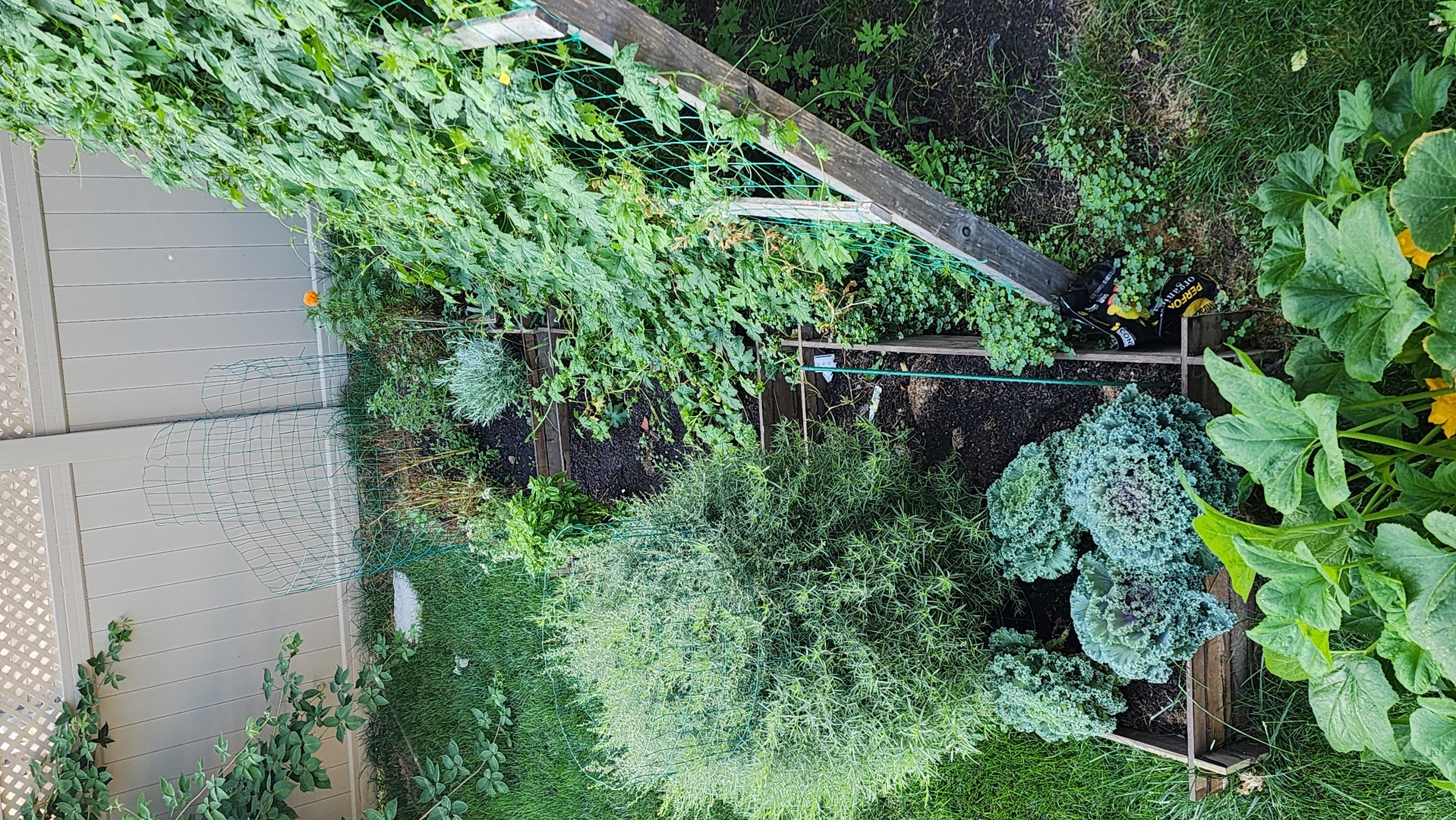 1770 W Windmill Court, Addison, IL 60101