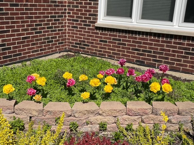 1770 W Windmill Court, Addison, IL 60101