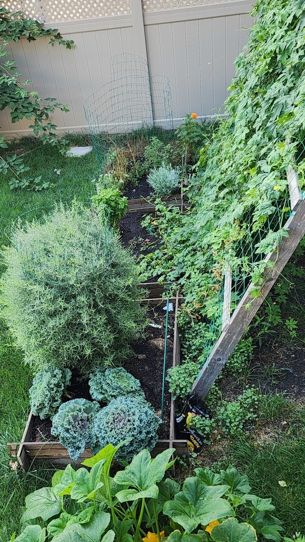 1770 W Windmill Court, Addison, IL 60101