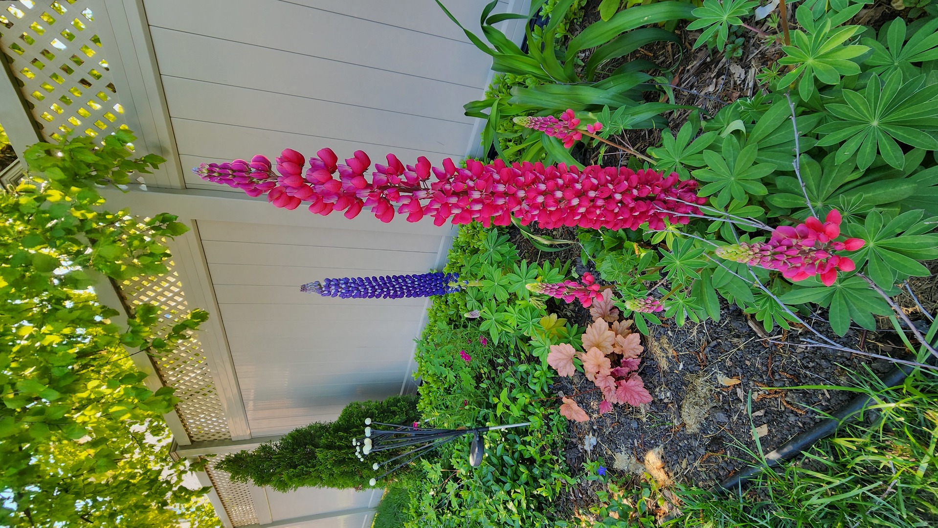 1770 W Windmill Court, Addison, IL 60101