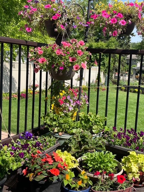 1770 W Windmill Court, Addison, IL 60101