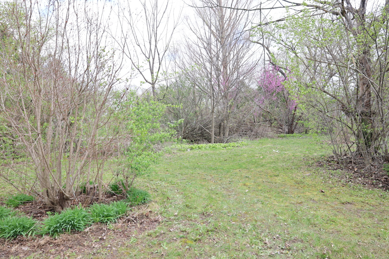 1516 W Sudeenew Drive, Johnsburg, IL 60051