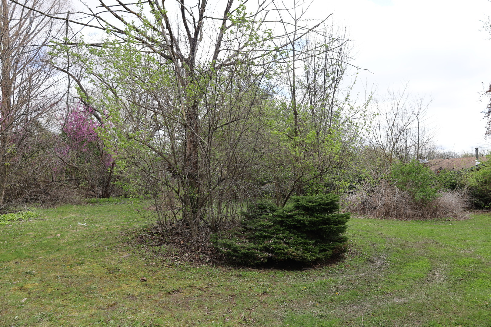 1516 W Sudeenew Drive, Johnsburg, IL 60051