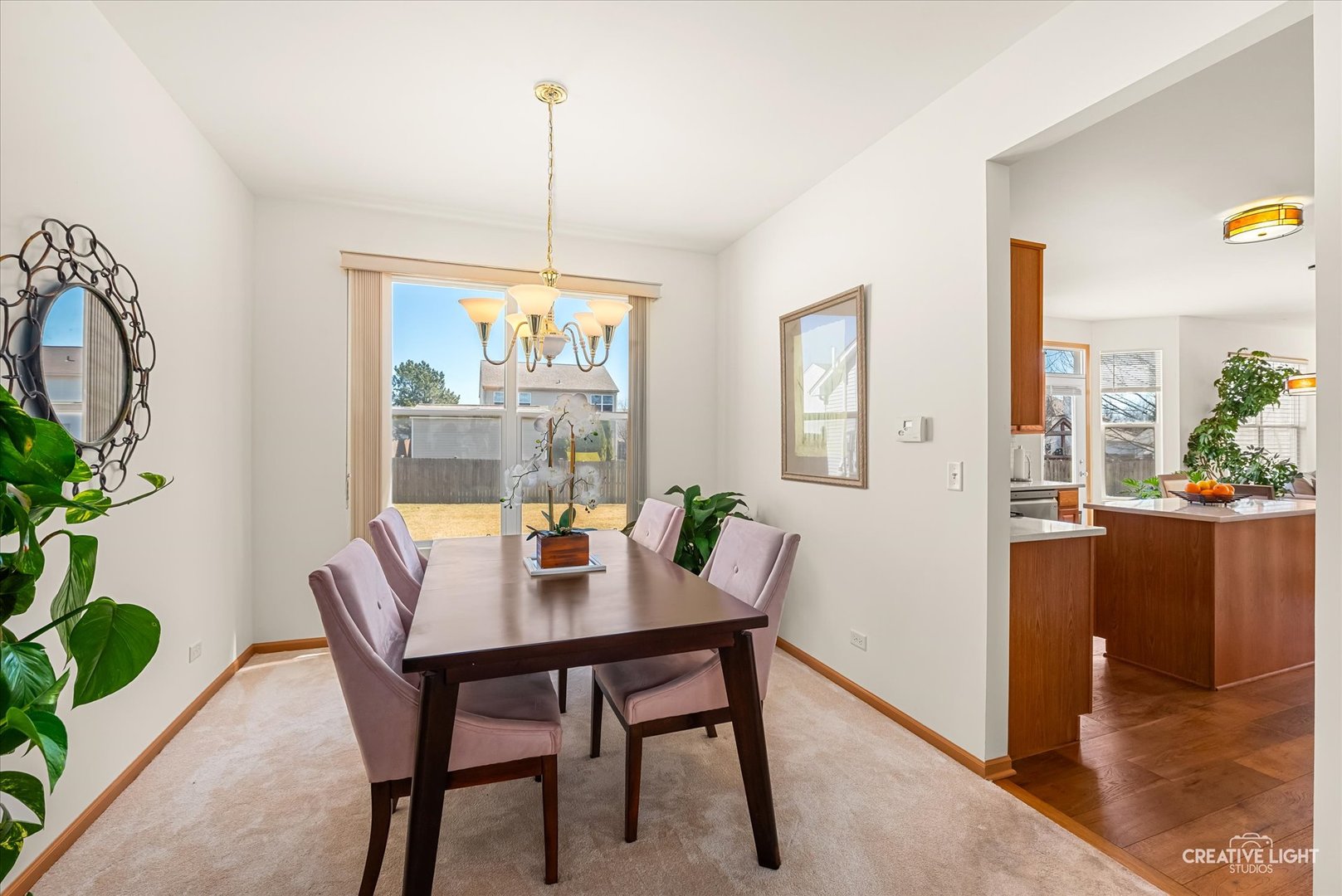 24336 W Apple Tree Lane, Plainfield, IL 60585