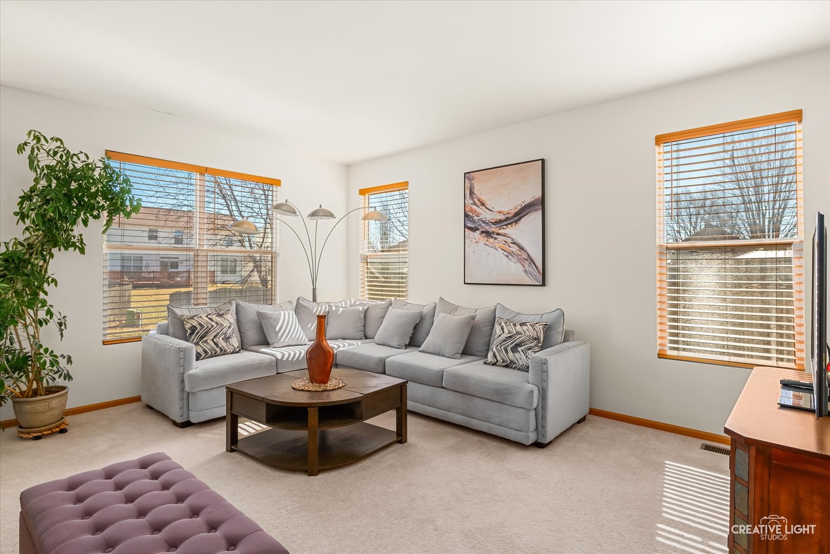 24336 W Apple Tree Lane, Plainfield, IL 60585