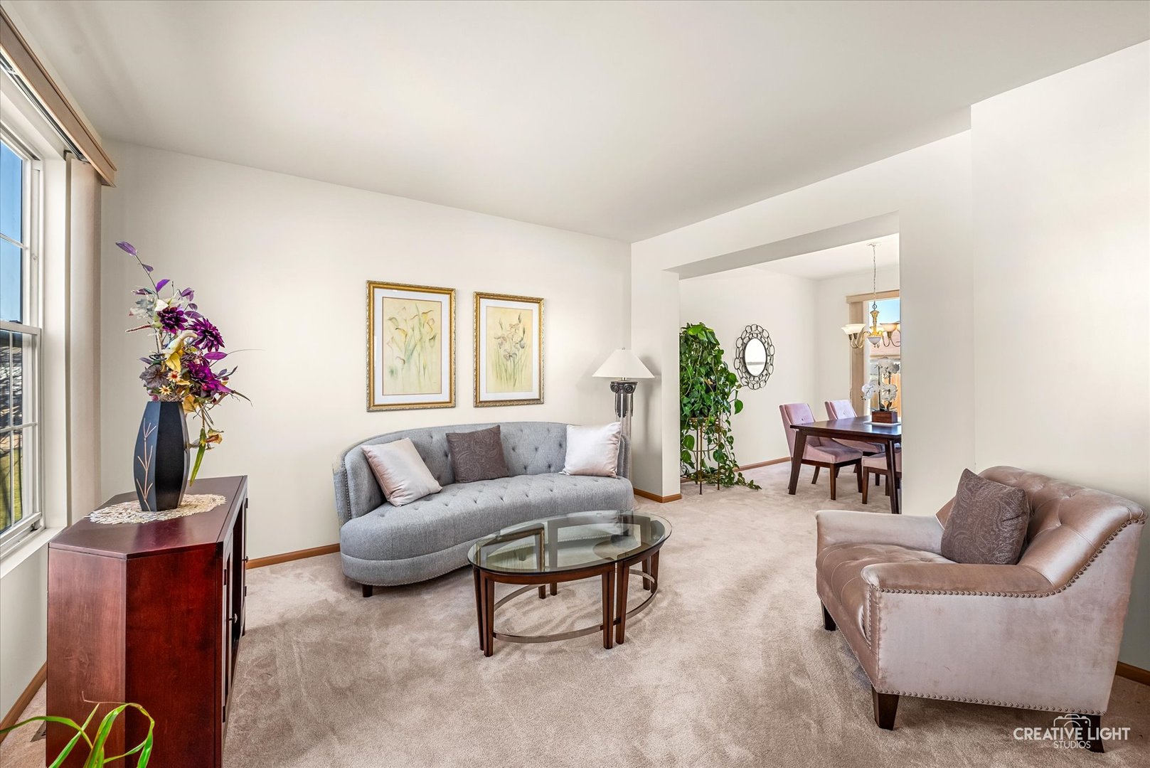 24336 W Apple Tree Lane, Plainfield, IL 60585