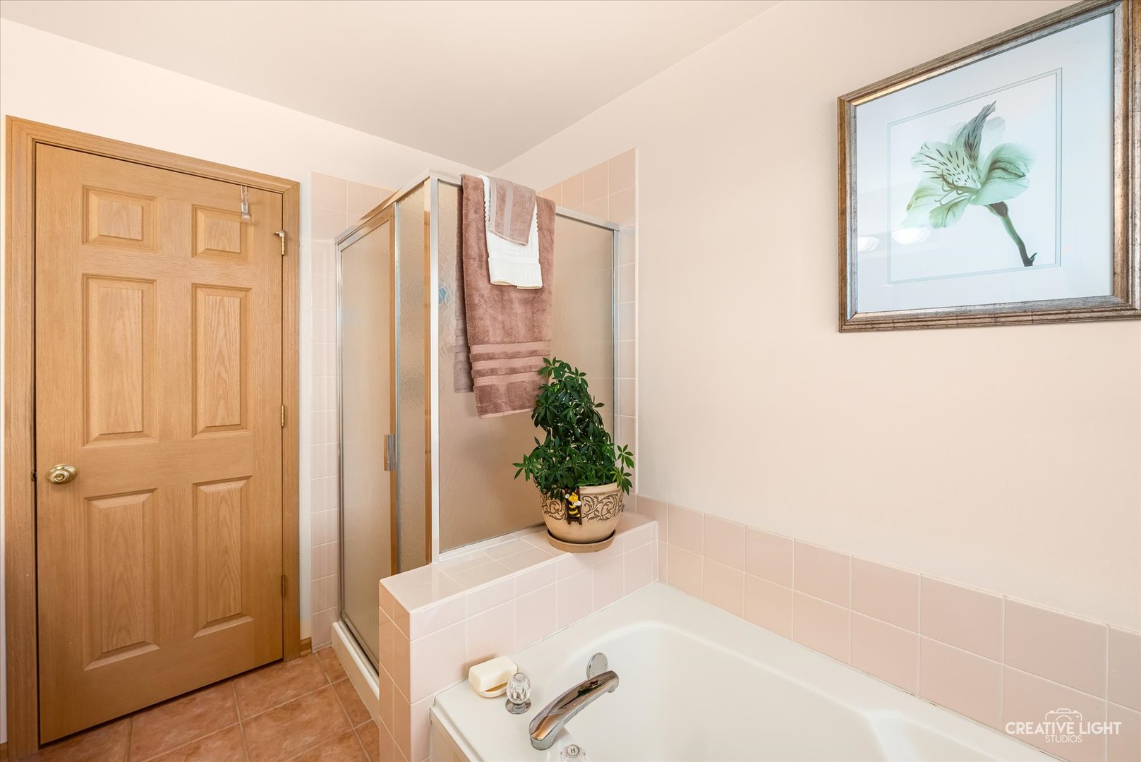 24336 W Apple Tree Lane, Plainfield, IL 60585