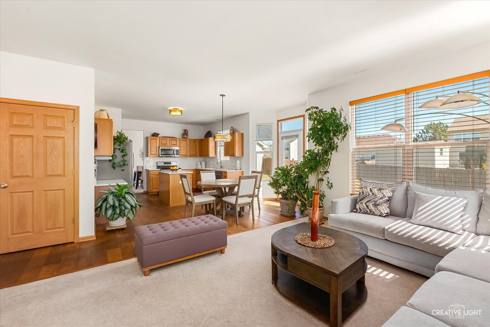 24336 W Apple Tree Lane, Plainfield, IL 60585