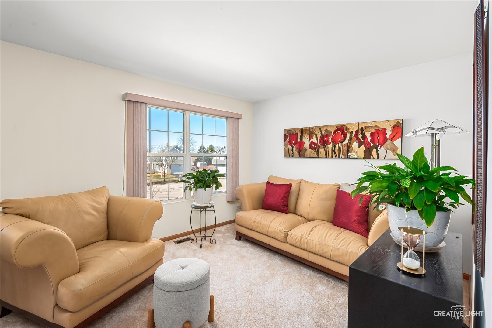 24336 W Apple Tree Lane, Plainfield, IL 60585