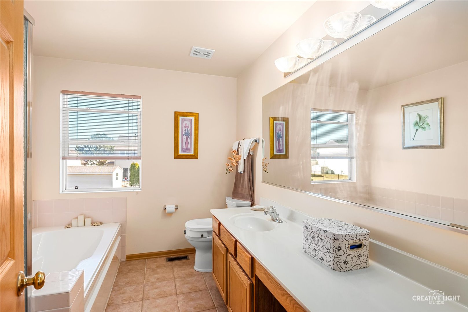 24336 W Apple Tree Lane, Plainfield, IL 60585