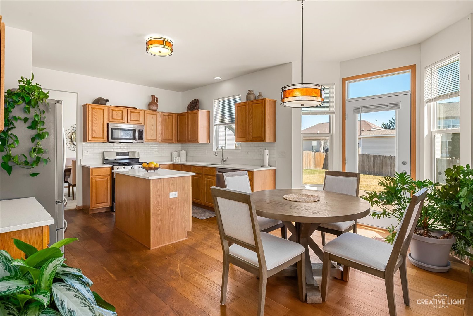 24336 W Apple Tree Lane, Plainfield, IL 60585