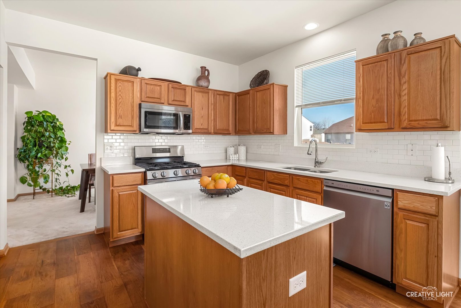 24336 W Apple Tree Lane, Plainfield, IL 60585