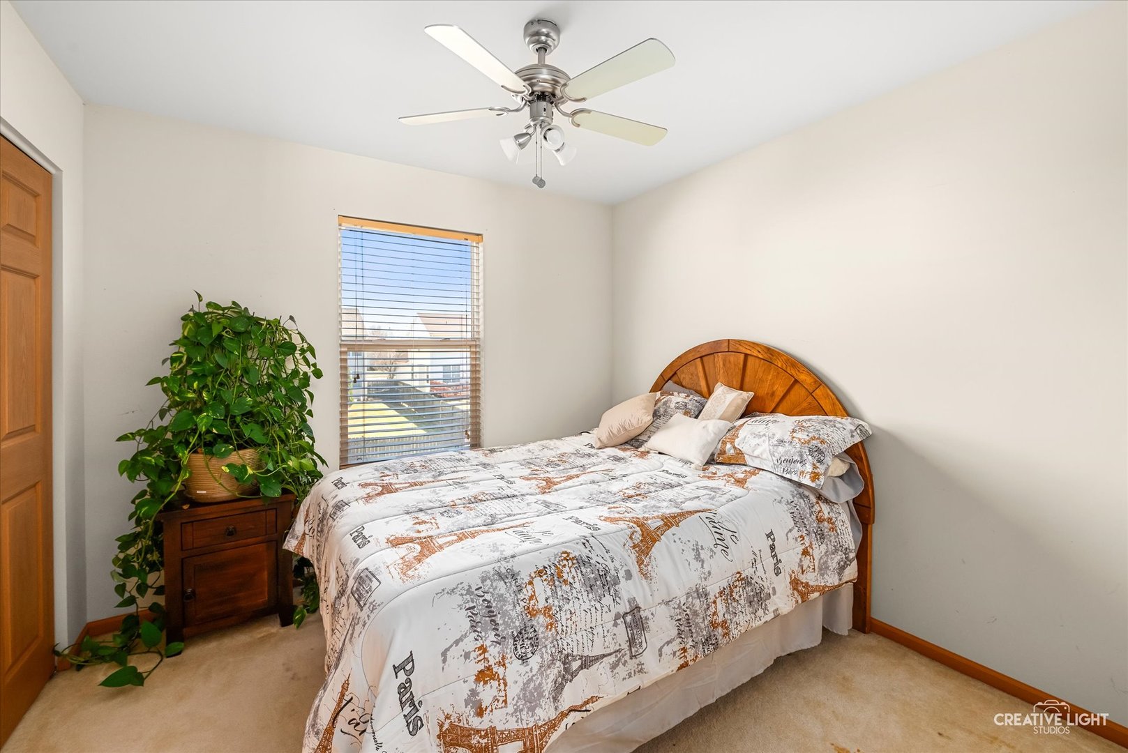 24336 W Apple Tree Lane, Plainfield, IL 60585