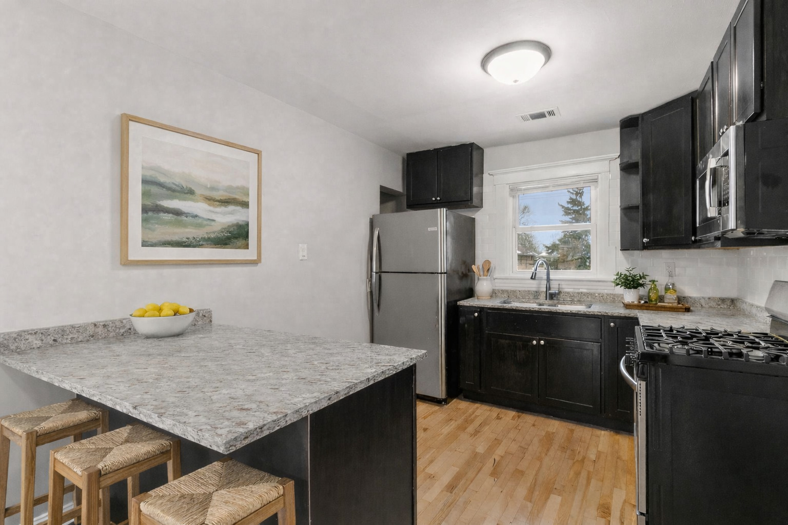 1144 N Austin Boulevard #2, Oak Park, IL 60302