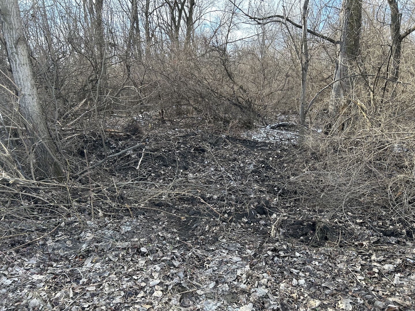 15500 15500 Road, Pembroke Twp, IL 60958