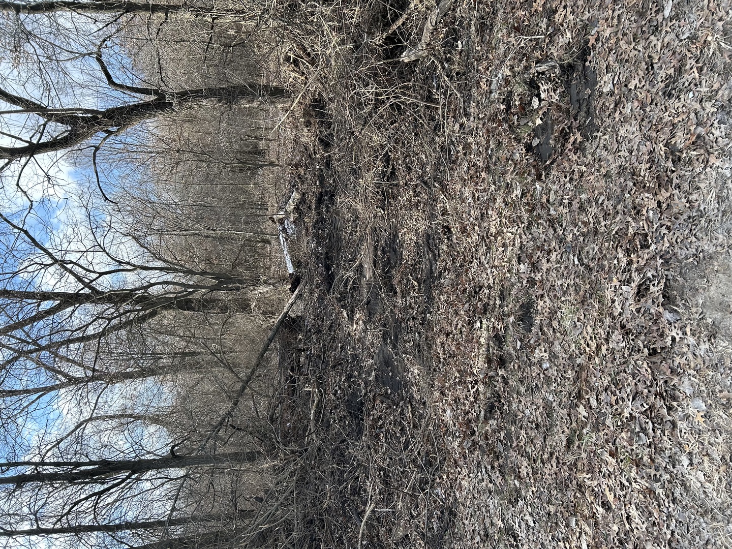 15500 15500 Road, Pembroke Twp, IL 60958