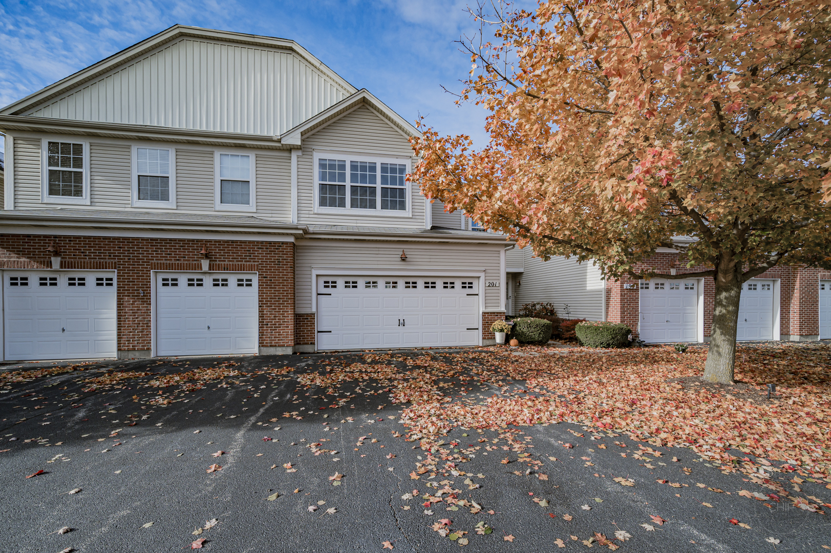 201 Dorset Avenue #201, Oswego, IL 60543