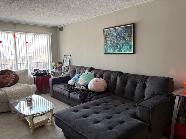 Naperville, IL 60563