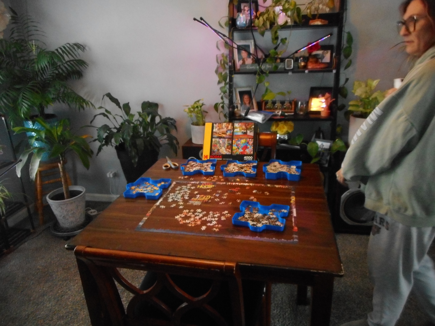 576 Iroquois Trail, Carol Stream, IL 60188