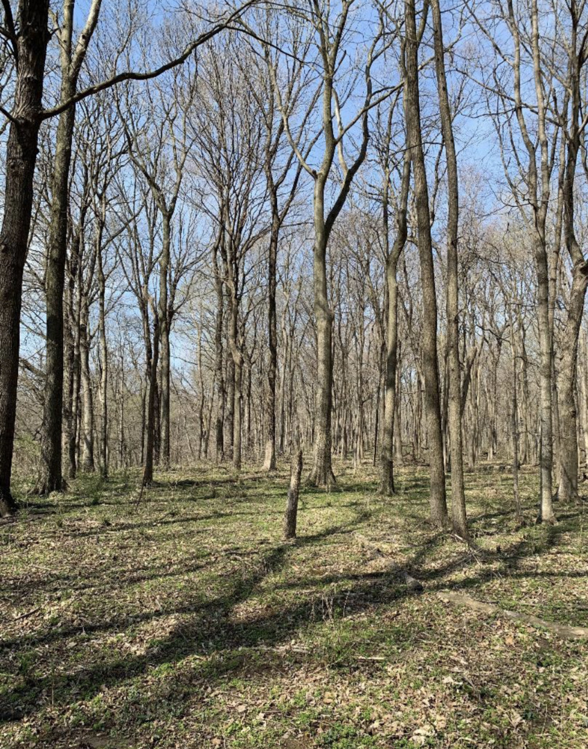 0 Winterbottom Road, Morris, IL 60450