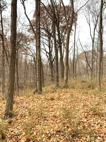 0 Winterbottom Road, Morris, IL 60450