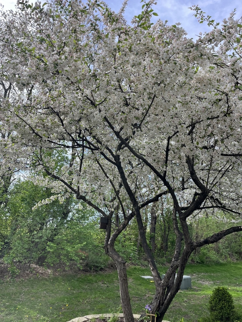 192 Brompton Lane #B, Sugar Grove, IL 60554