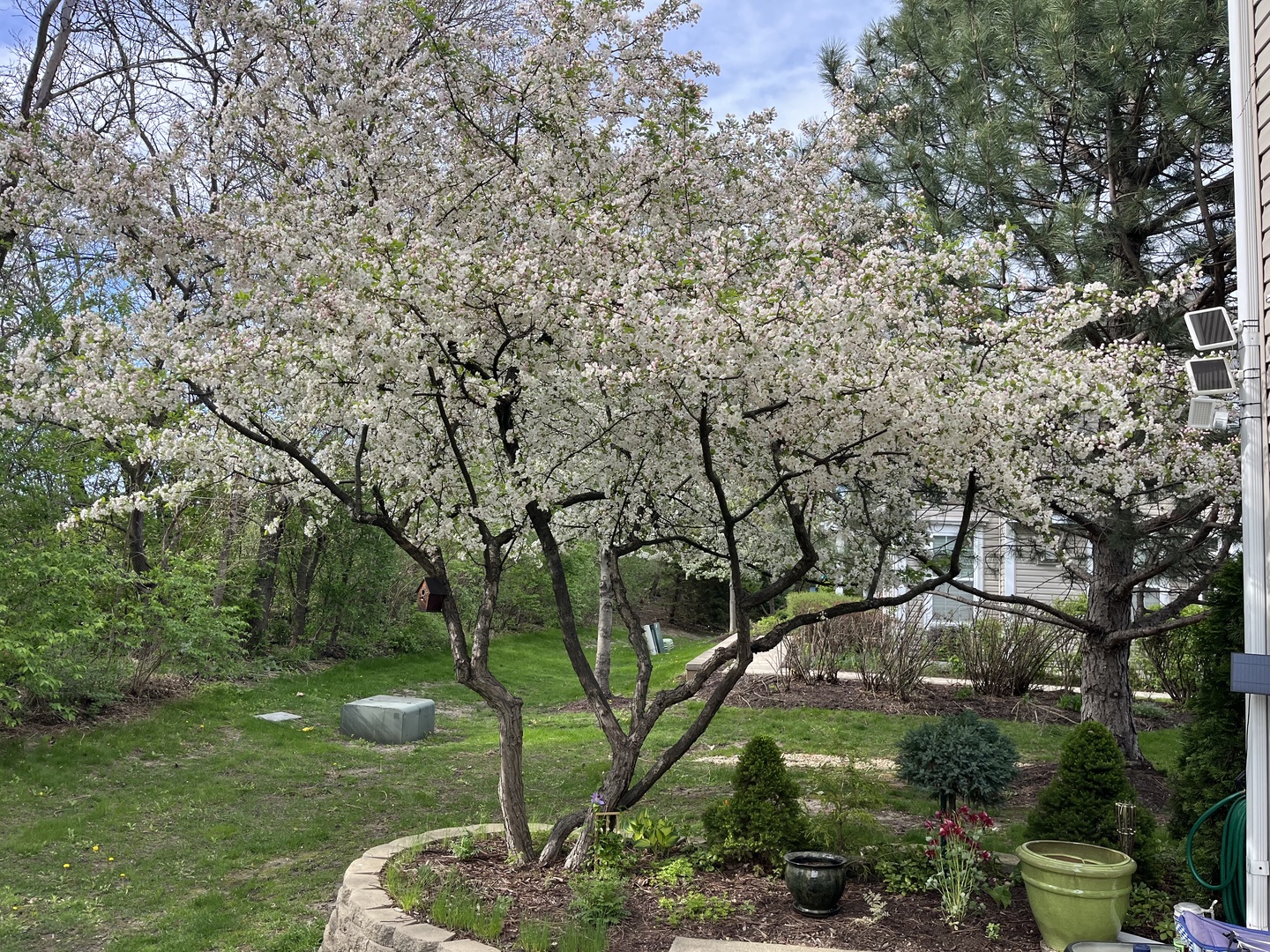 192 Brompton Lane #B, Sugar Grove, IL 60554