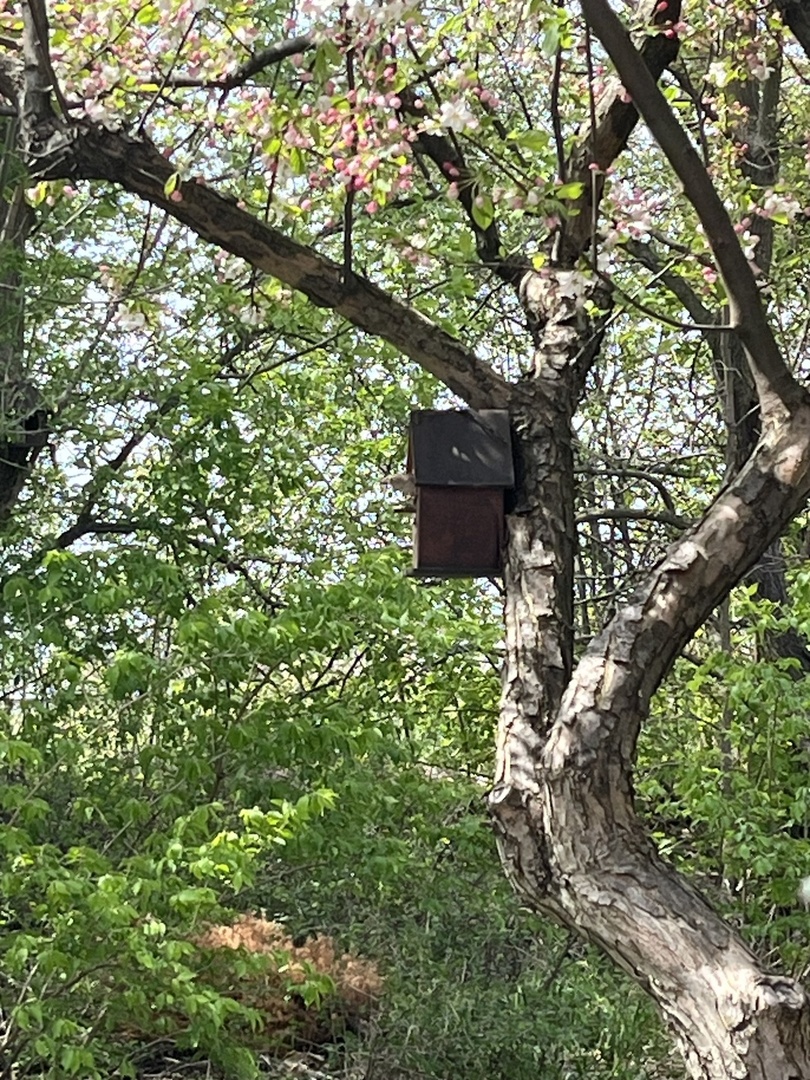 192 Brompton Lane #B, Sugar Grove, IL 60554